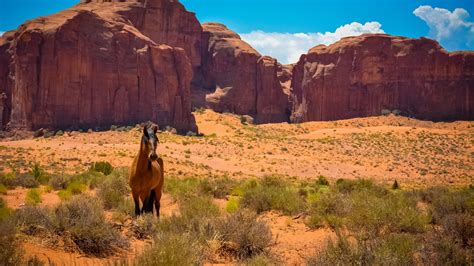 Arizona Desert Desktop Wallpaper 42 Images