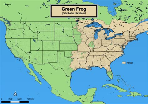 Frogs - eMuseum of Natural History