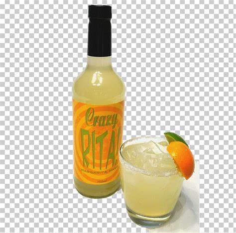 Harvey Wallbanger Fuzzy Navel Mai Tai Cocktail Garnish Orange Drink Png