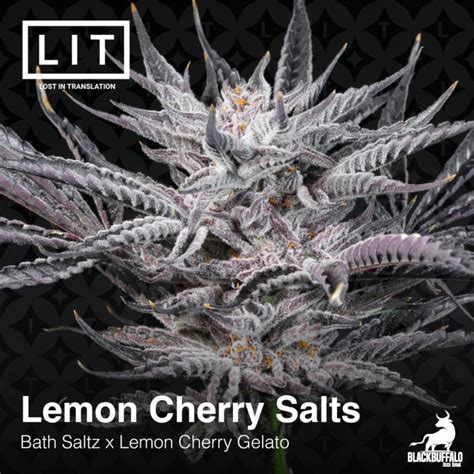 Lemon Cherry Salts Lit Farms Cannabis Seeds Blackbuffalo