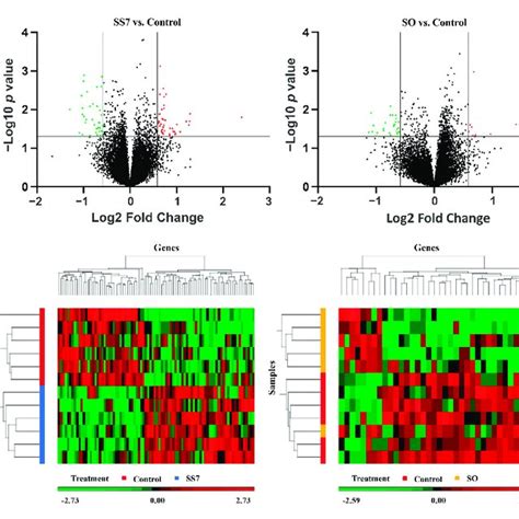 Volcano Plots A And Heat Maps B Comparing Differentially Expressed