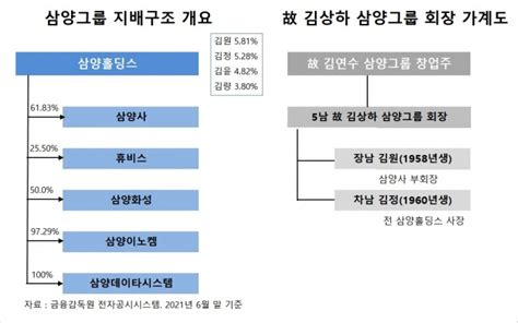 지배구조 분석 삼양홀딩스 오너 3세들 의례 경영수업 거쳐2017년엔 4명이 동시 임원