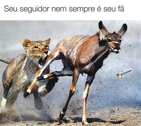 Seu seguidor nem sempre é seu fã Memes