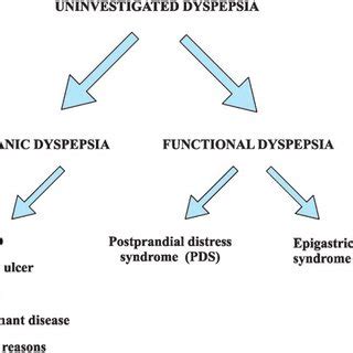 1. Common causes of dyspepsia. | Download Table