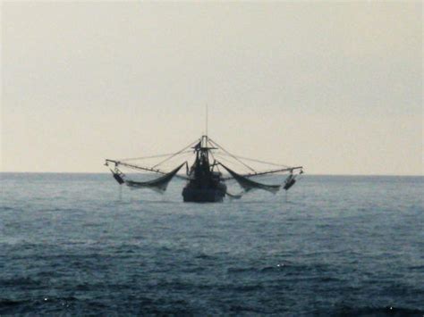 Sailor Lost At Sea By Tracii Decay On Deviantart