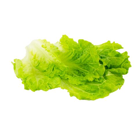 Lattuga Verde Della Verdura Fresca Clipart Di Lattuga Lattuga Cibo