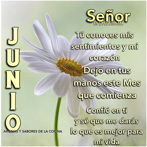 Bienvenido Junio Bienvenido Junio Bienvenido Junio Imagenes