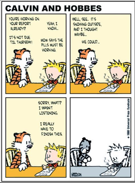 Hobbes From Calvin And Hobbes