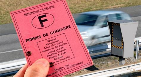 Permis De Conduire Numérique Voici à Quoi Sattendre