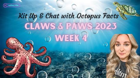 Claws And Paws 2023 Week 4 Kit Up And Chat With Octopus Facts Youtube