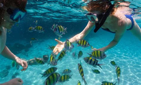 Is It Warm Enough To Snorkel In Key West In January At Roslyn Hussey Blog