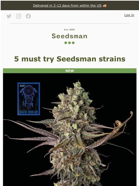 SeedsMan: 5 must-try strains from Seedsman's range 🌟 | Milled