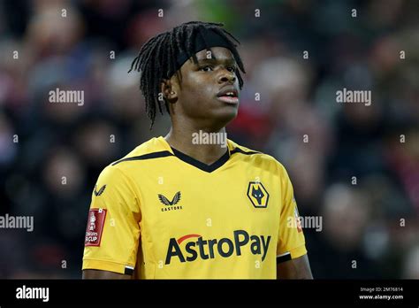 Dexter lembikisa wolves hi-res stock photography and images - Alamy