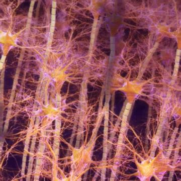 M Settlement Animating How Hypoxia Resulted In Brain Damage After