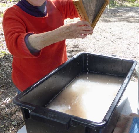 Papermaking 101 - Art from the Urban Wilderness