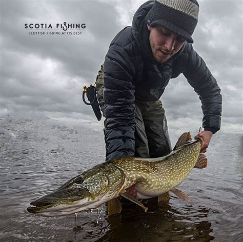 Guided Pike Fishing Trips in Scotland - Scotia Fishing