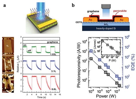 A Schematic Of A Typical Organic Materialsgraphene Hybrid