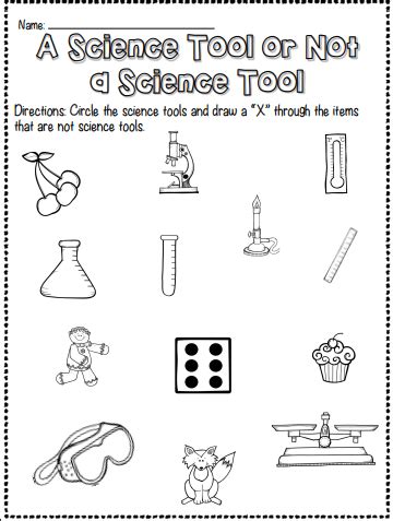 Science Tool or Not? Interactive Worksheet – Edform | Science tools ...