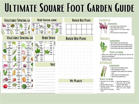Thriving In Zone 7b A Comprehensive Planting Guide The Ample Garden