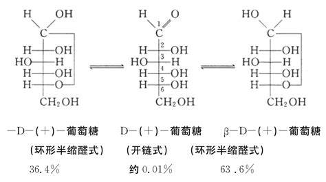 糖类的化学解读生命化学挂云帆