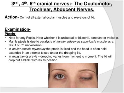 Trochlear Nerve Function Test