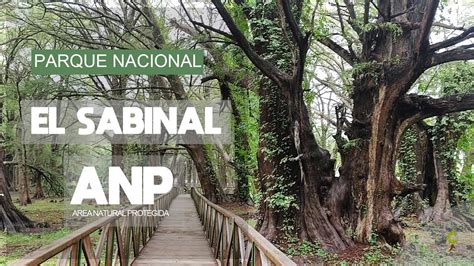 Anp Parque Nacional El Sabinal Youtube