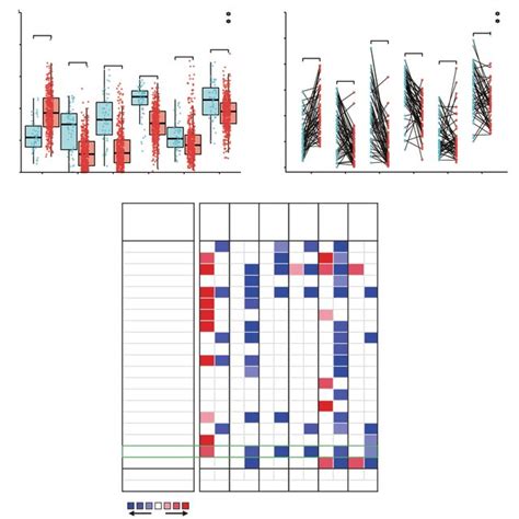 The Expression Levels Of Hub Genes Based On Tcga And Oncomine Download Scientific Diagram