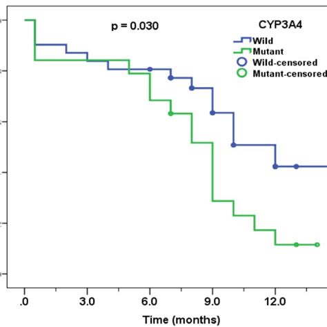 Overall Survival Curves Of AML Patients With And Without Mutations Of