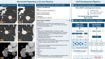 Radiology Artificial Intelligence On Twitter NLP Model Reached The