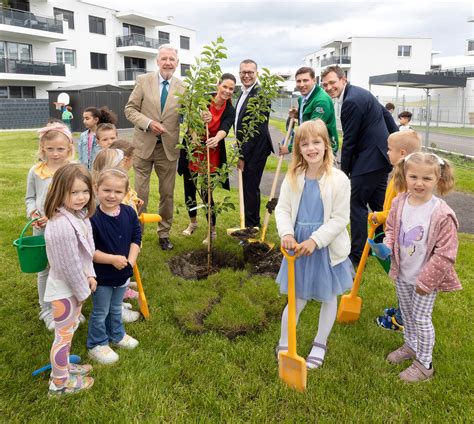 Baumpflanzungen Bei Den Neuen Kinderg Rten Wiener Neustadt