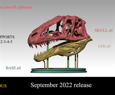 ArtStation - Acrocanthosaurus skull for 3D printing | Resources