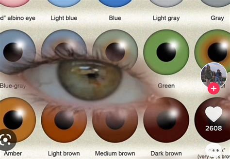 Human Eye Color Iris Color Chart By Kdc On Deviantart Off