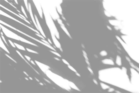 Sunlight Shadows Png 16 By Agusrockforlife On Deviantart