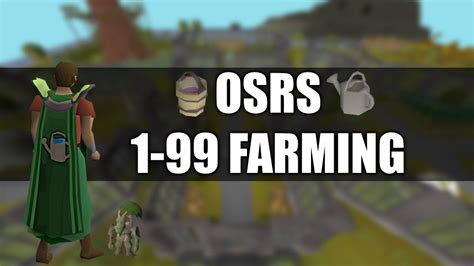 Farming Guide Osrs Full Tree Run Youtube