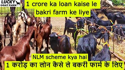 Crore Ka Loan Kaise Le Nlm Scheme Kaise Liye Goat Farm Ke Liye