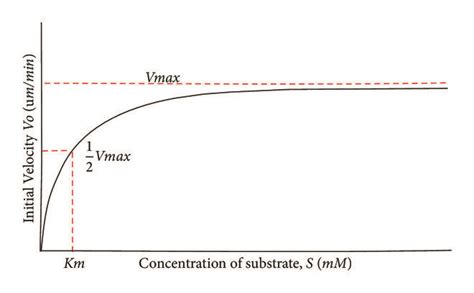 Enzyme kinetics: Michaelis-Menten model. | Download Scientific Diagram