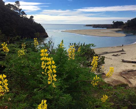 Beaches And Rivers — Mendocino Grove