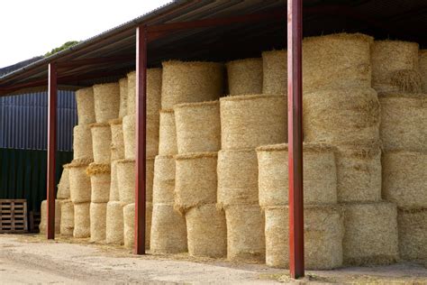 How Should Round Balage Bales Or Dry Hay Be Stored Hustler Equipment