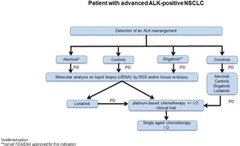 How I Treat ALK Positive Non Small Cell Lung Cancer ESMO Open