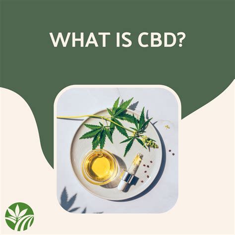 What Is Cbd Understanding The Benefits And Uses Of Cannabidiol Oley