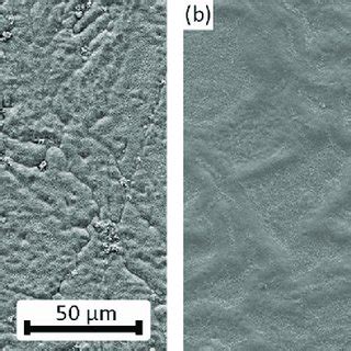 Sem Images Of The Surface Of Tga Samples A Wrought Sample B Lpbf