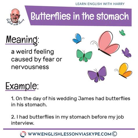 English Idioms BUTTERFLIES IN THE STOMACH Meaning In 2020 English