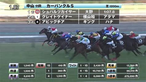 【18 カーバンクルsほか】中山ダイジェストjraレース結果 競馬動画 Netkeiba