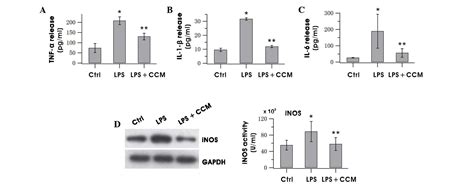 Hsp60 Mediates The Neuroprotective Effects Of Curcumin By Suppressing