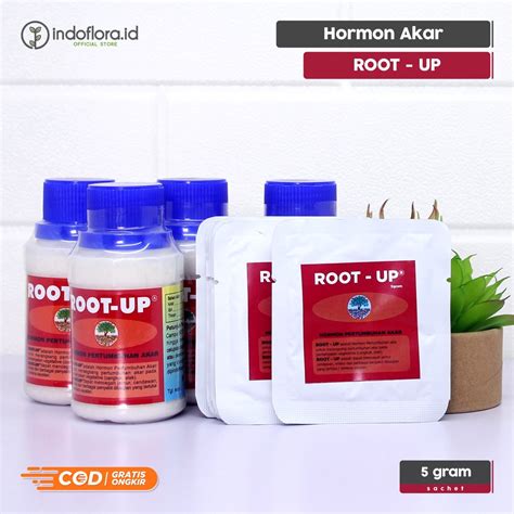 Jual ROOT UP Hormon Pertumbuhan Akar Stek Cangkok 5 Gram Shopee Indonesia