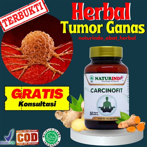 Jual Obat Herbal Kanker Kangker Tumor Benjolan Di Leher Payudara Ketiak