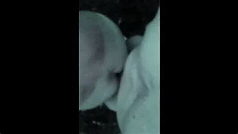 Free Gay Porn Videos Trending Porno Movies 4460 XHamster