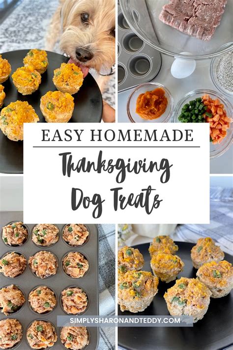 Homemade Thanksgiving Dinner For Dogs Thanksgiving Turkey Dog Treat