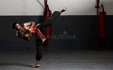 13846 Martial Arts Kick Stock Photos Free And Royalty Free Stock