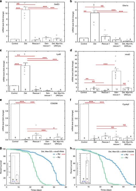 RT-qPCR confirms that genes are deregulated in deletion RT-qPCR ...